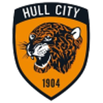 Hull City Banner